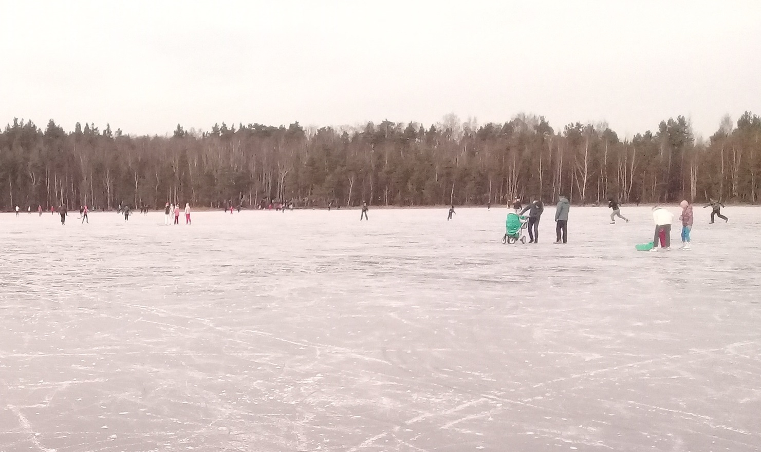 Рязанцы массово катаются на коньках по Ласковскому озеру