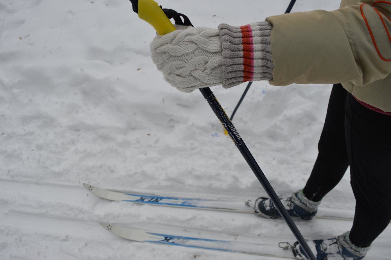 Зимой в Рязани будут работать 5 лыжных трасс