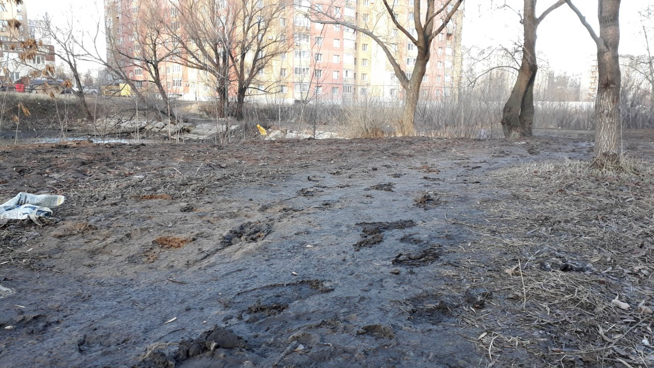 Рязанцы жалуются: "Черезовские пруды утопают в грязи"