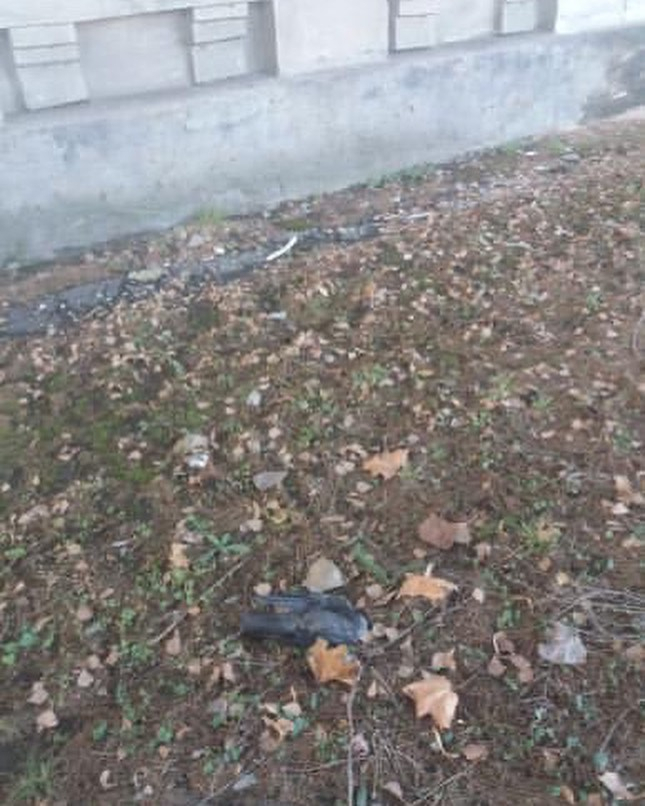 На Куйбышевском шоссе нашли мертвых птиц