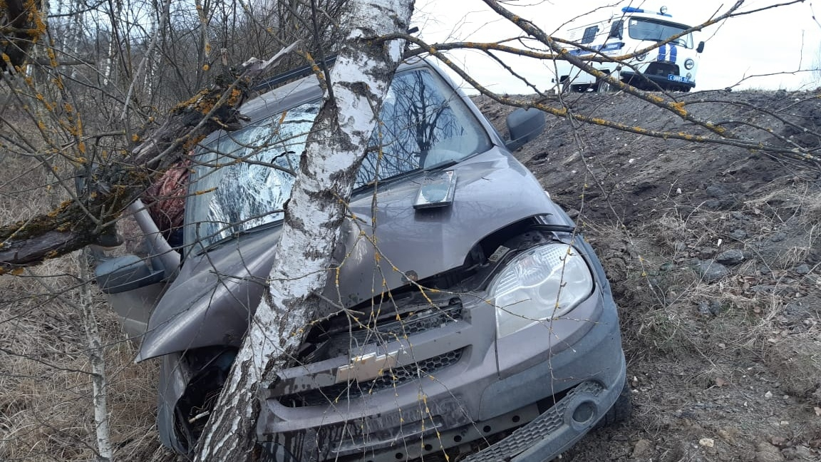 Под Рязанью автомобиль вылетел в кювет и врезался в дерево
