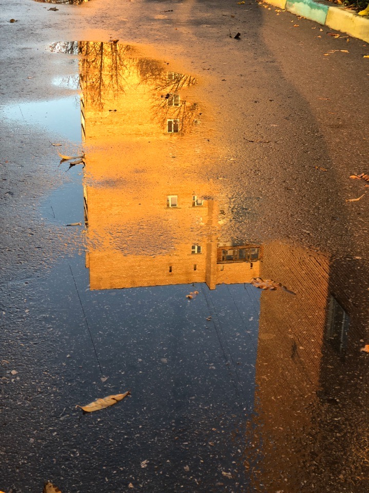 В понедельник в Рязани потеплеет до +6 градусов