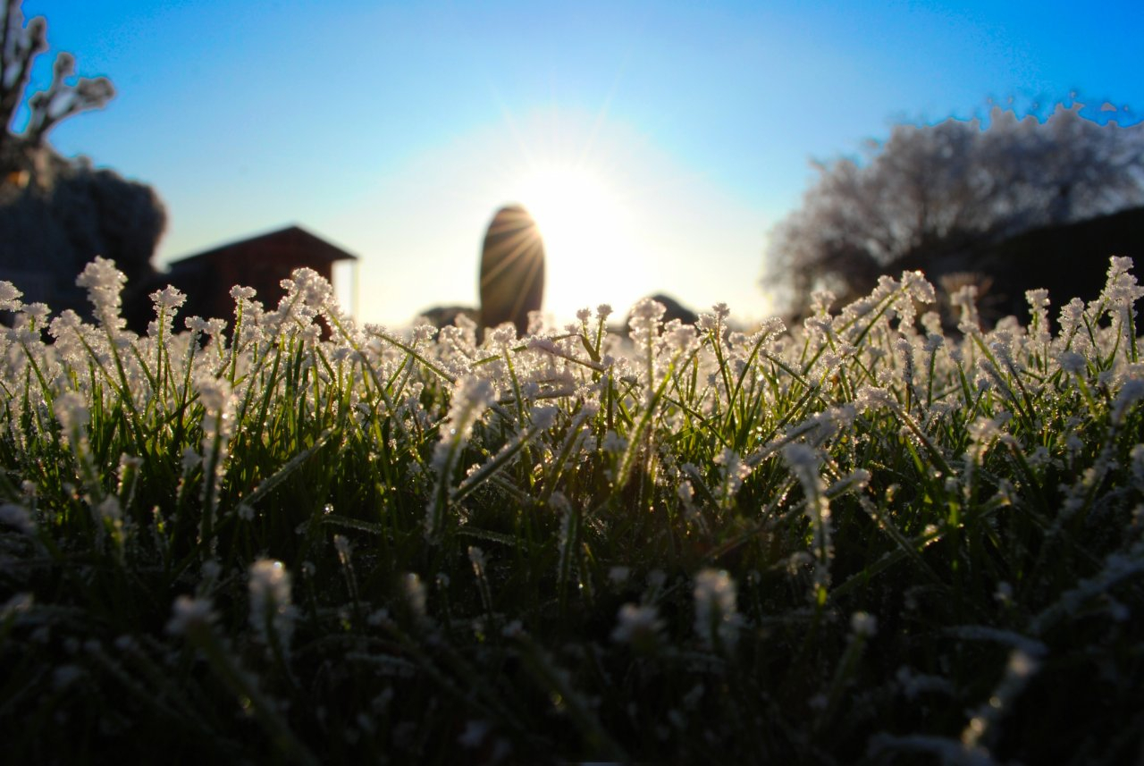 Аномальное тепло или суровые морозы: синоптики рассказали о погоде в январе