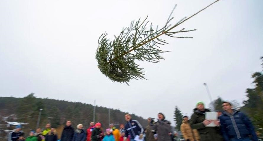 В воскресенье в Рязани будут метать новогодние елки