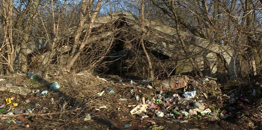 Село под Рязанью завалено мусором. Власти предлагают людям взять в руки лопаты