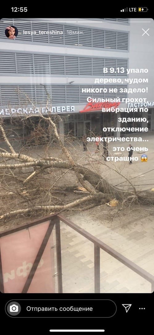 Погода не щадит: возле ТРЦ "Виктория Плаза" рухнуло дерево