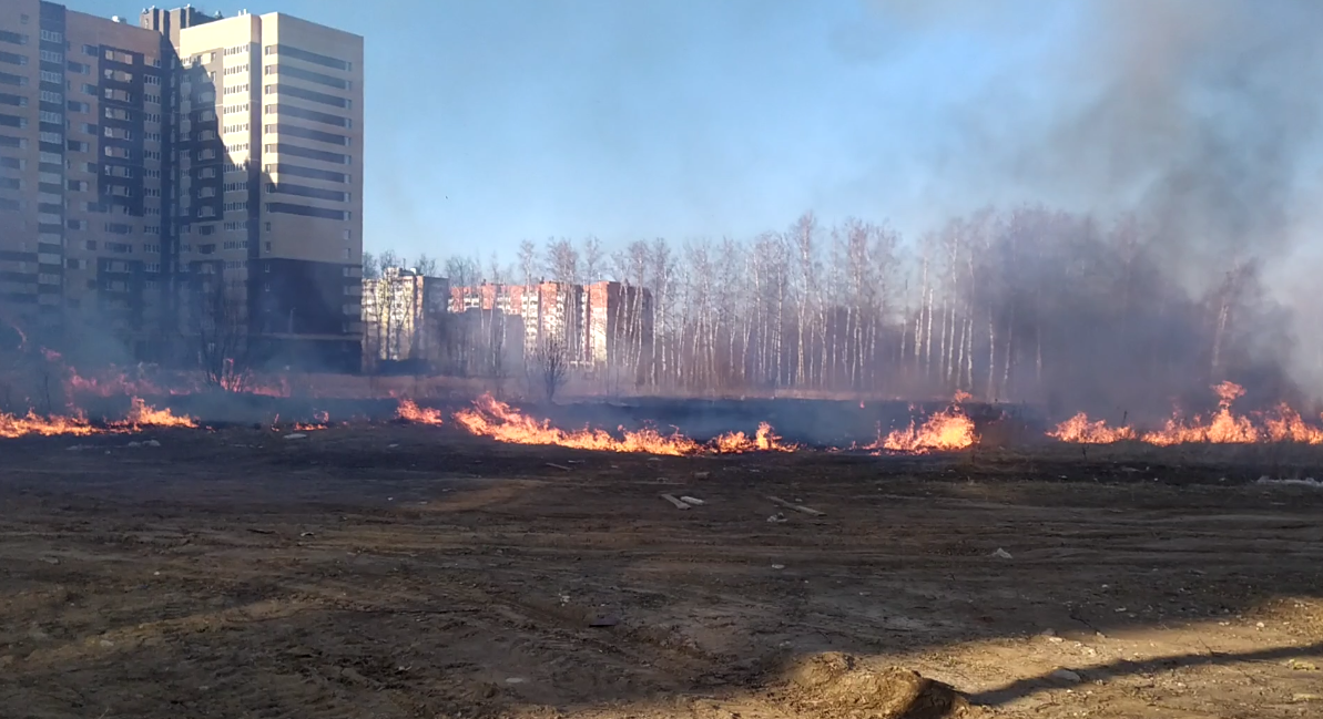 Пылающие поля: возле домов на улице Шереметьевской подожгли траву