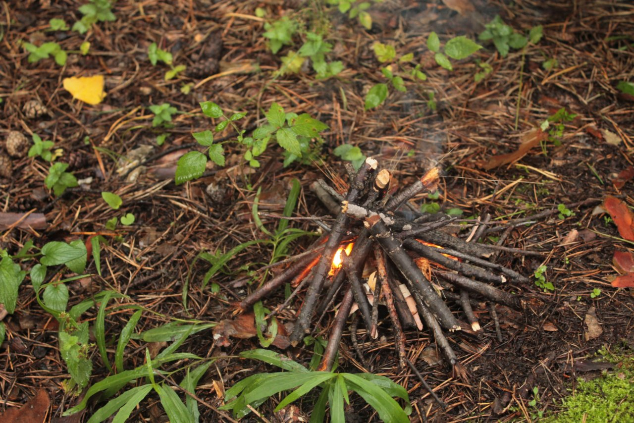 С 1 апреля: в Рязанской области объявлен пожароопасный сезон