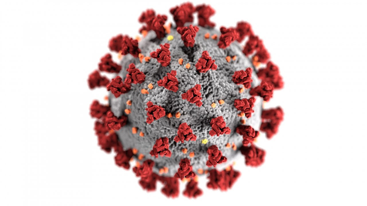 Больше ста заболевших: коронавирус подтвердился еще у 27 рязанцев