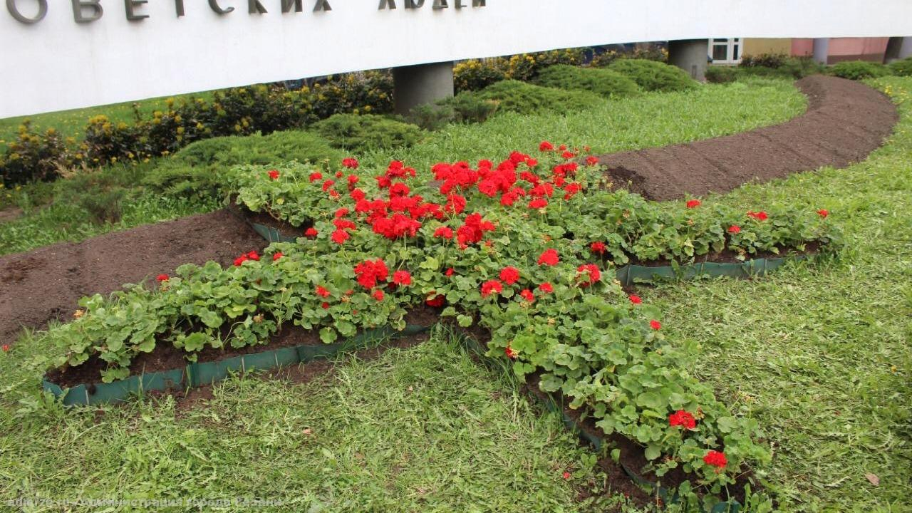 На площади Победы выросла звезда из герани: в Рязани высадили 10 тысяч цветов