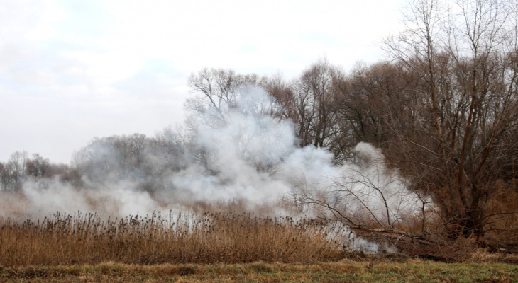 Если будет жарко: в Рязанской области прогнозируют торфяные пожары