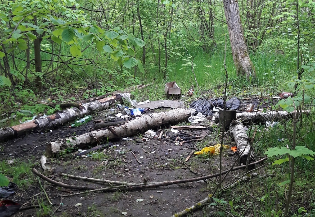 Грязь и ветхие деревья: парк на Белякова не убирали с осени