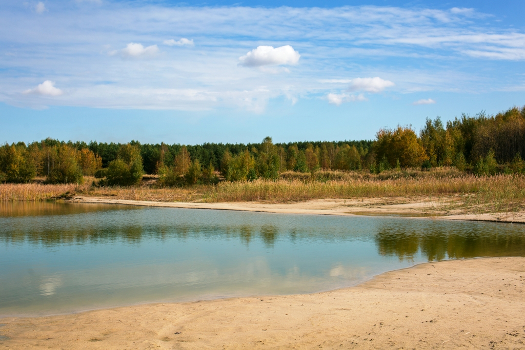 Новое Полково: живописные участки у озера в 20 километрах от Рязани