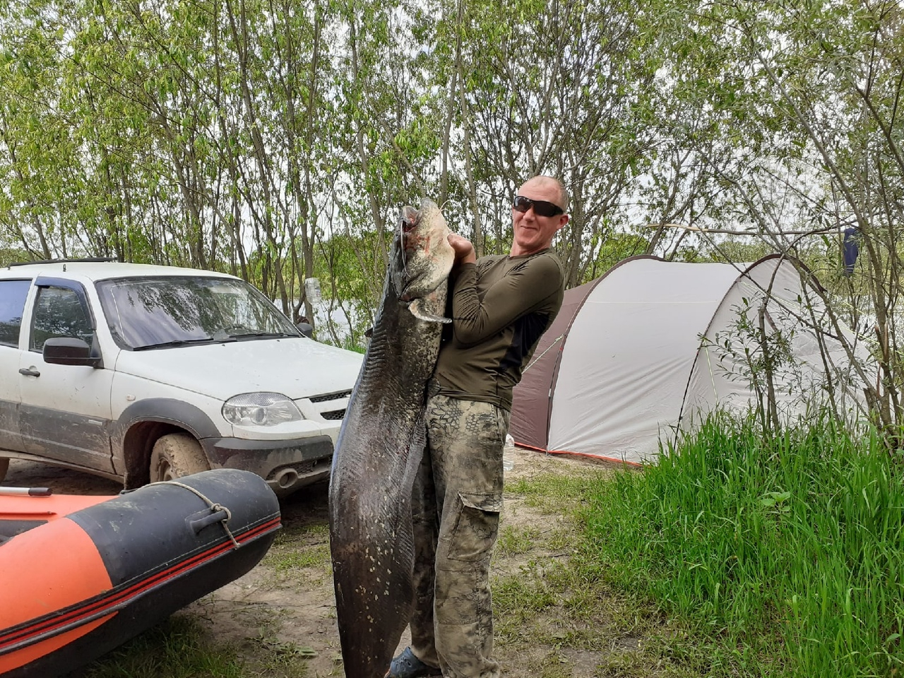 Вот так улов: тульский рыбак вытащил из Оки гигантского сома неподалеку от Шилово