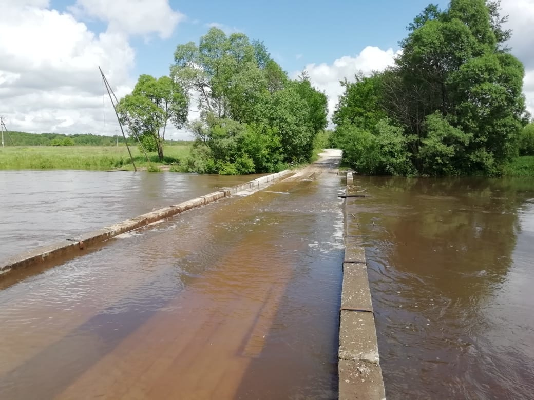 Подъем воды в реке: в Сапожковском районе подтопило низководный мост