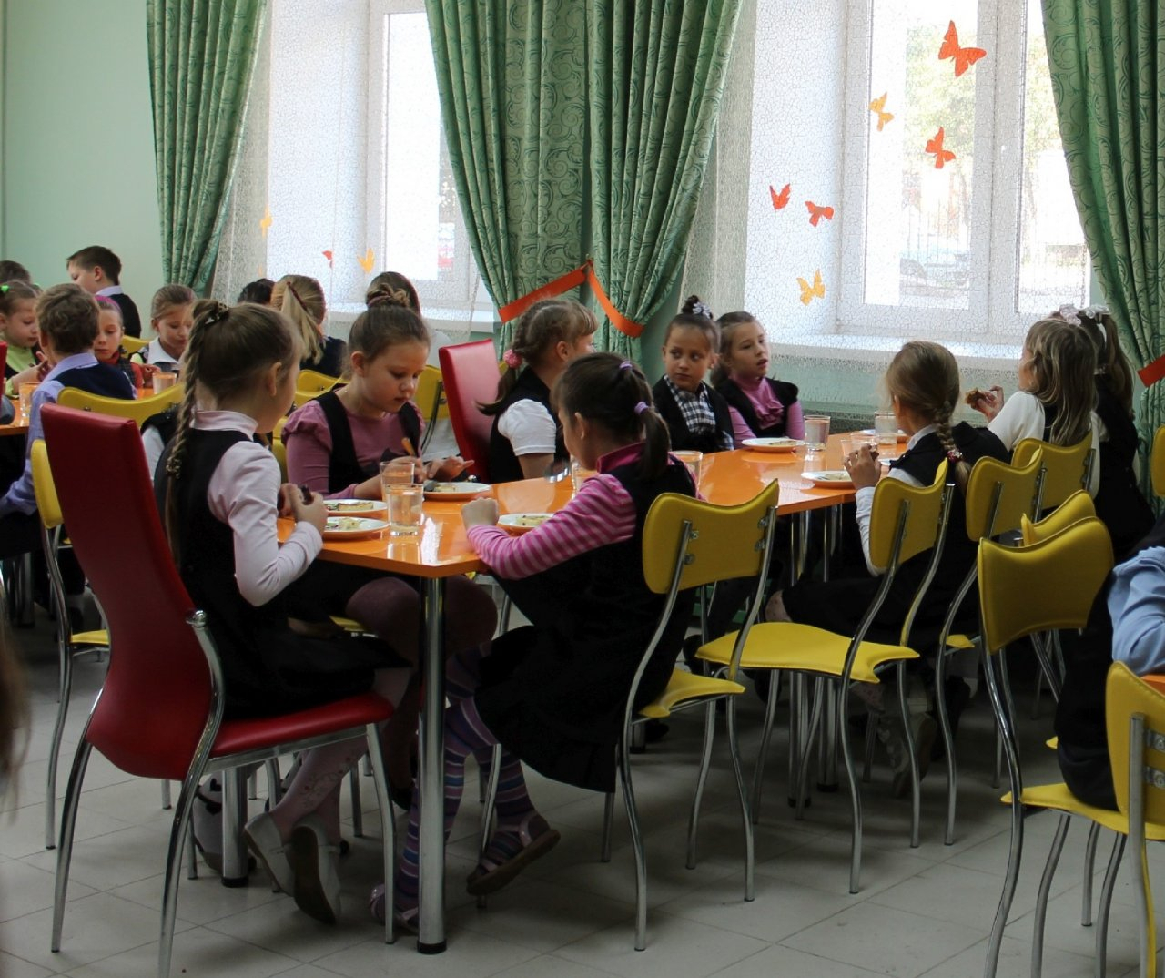 Независимо от социального статуса: в России вводят бесплатное питание для младшеклассников