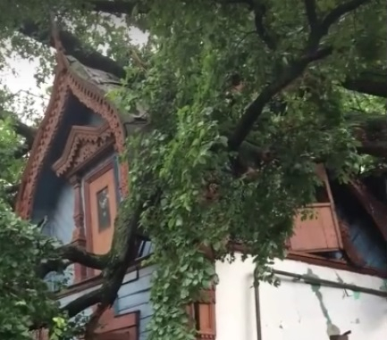 “Чиновничья лень”: эксперт считает, что дом на улице Щедрина вряд ли восстановят