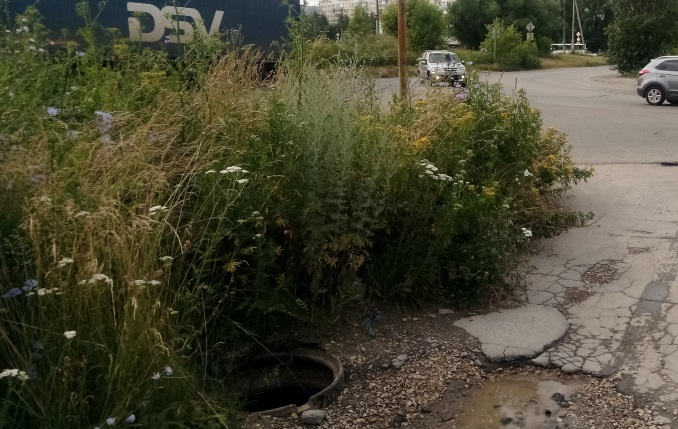 Волчья яма: на Зубковой в Рязани нашли открытый канализационный люк