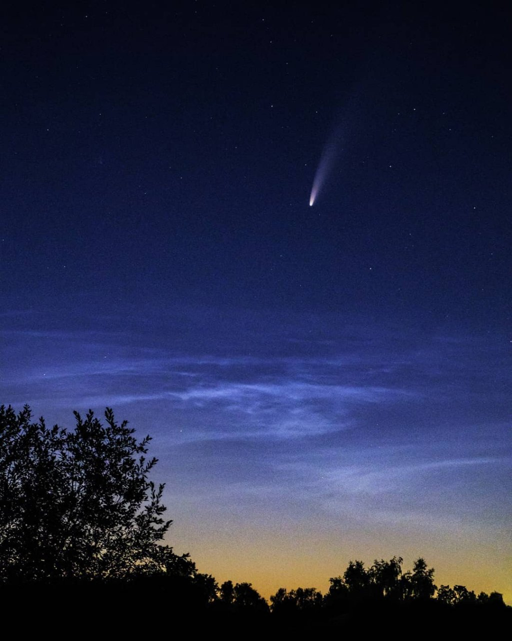 Над Рязанью пролетает комета NEOWISE: фотоподборка