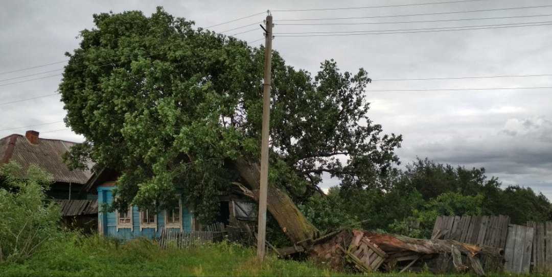 В Заборье прошел смерч: жители деревни Борисково третий день живут без электричества