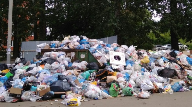Вонь, грязь, мусор: Сорокина потребовала разобраться с контейнерными площадками в Рязани