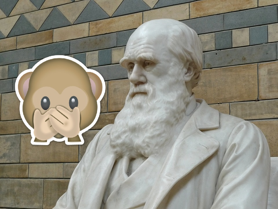 Тест на премию Дарвина: отличите реальный случай от фейка