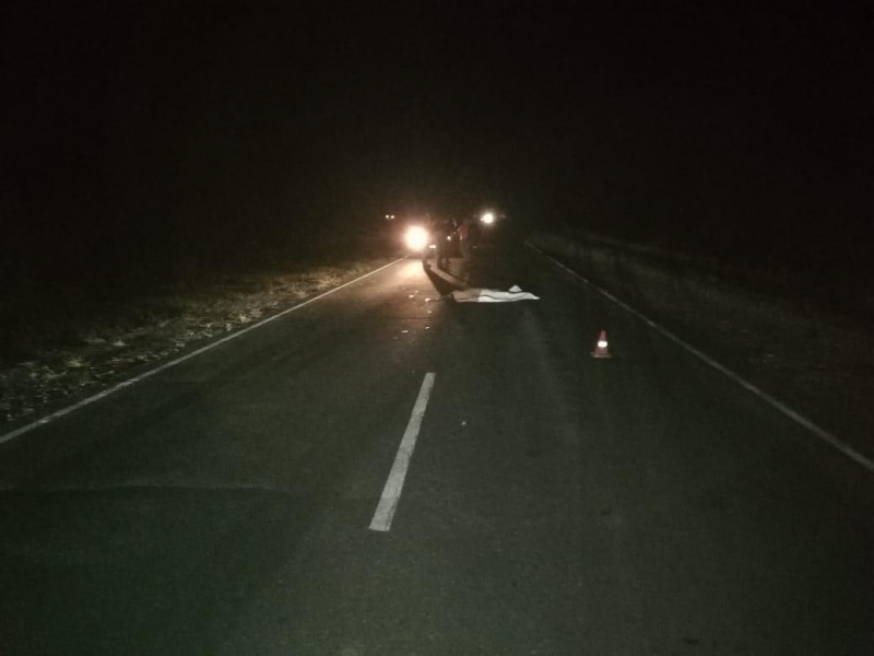 Смерть на дороге: в Рязанской области москвич на автомобиле “Ленд Ровер” сбил пешехода