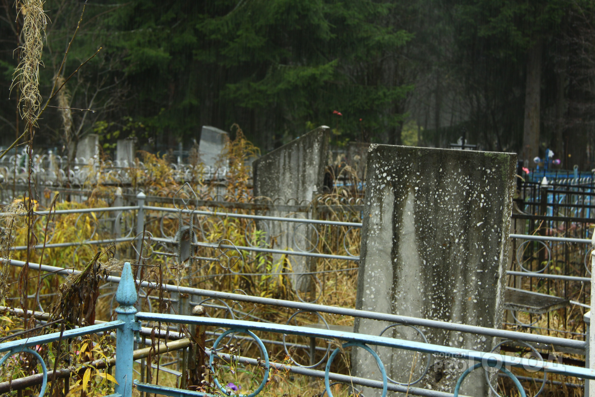 Крадут у мертвых: на Рязанском кладбище стащили ограду для могилы