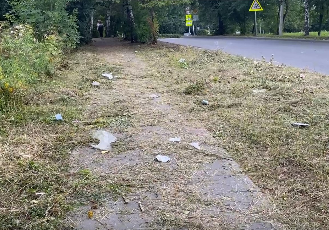 Сделали полдела: на Советской армии после покоса траву бросили на дороге