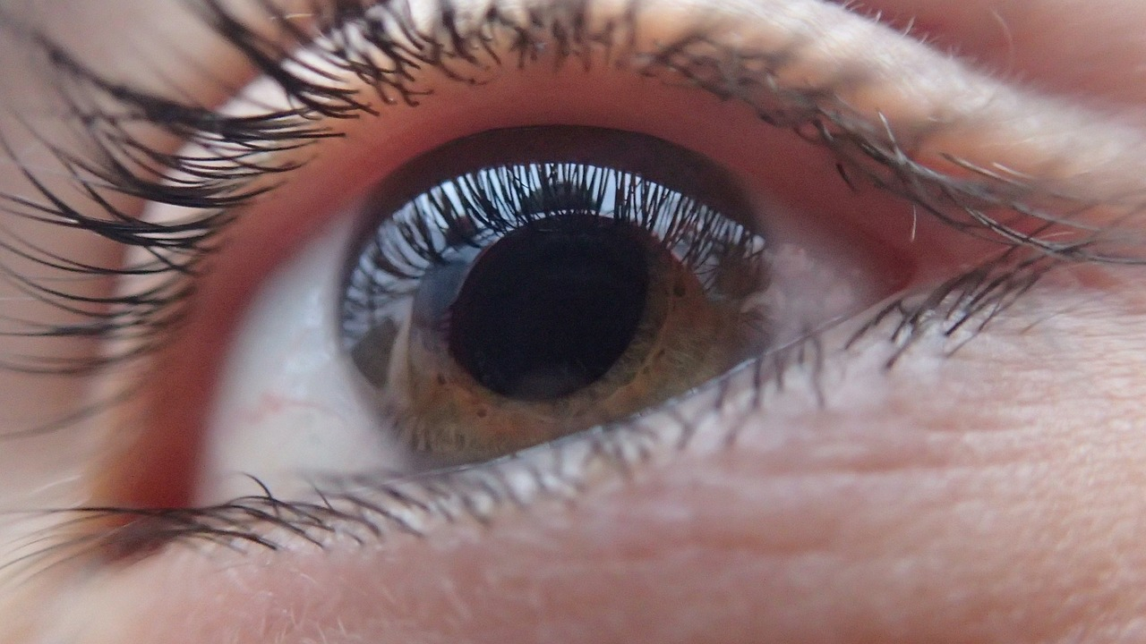 Не трогай глаза: рязанские врачи предупредили о высоком риске заражения конъюнктивитом