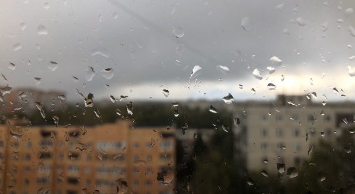 Зонтик не поможет: в четверг в Рязани снова ждут дождь и ветер