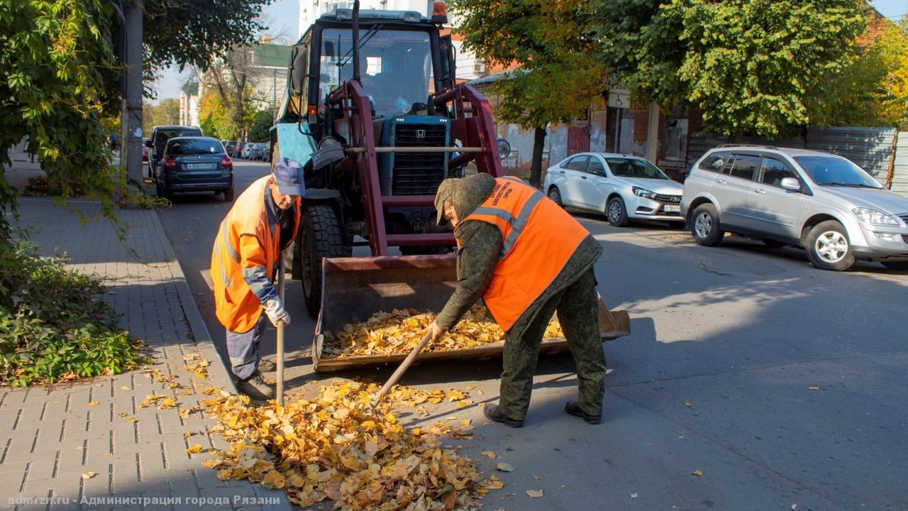 30 "кубов" мусора с 4 улиц: городские службы вычищают Рязань к зиме