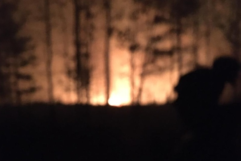 Опять горим: в Пителинском и Шиловском районах пожары