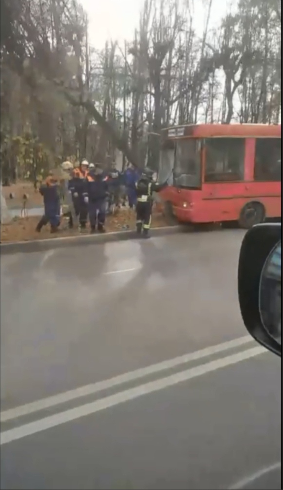 Работает МЧС: в Рязани автобус врезался в дерево