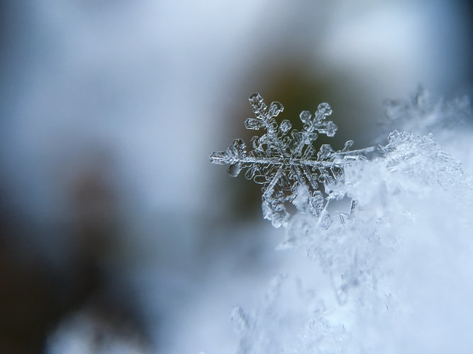 Зима постепенно стучится в окно: в ночь на понедельник в Рязанской области выпадет снег