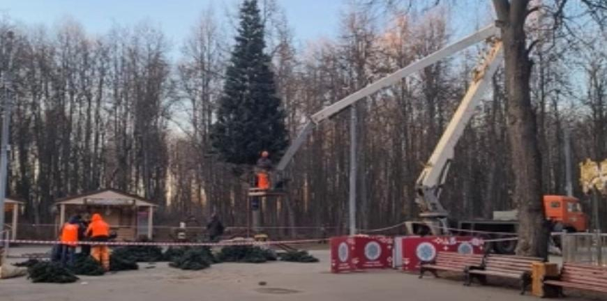 Украсят позже: в Рязани установили первую новогоднюю елку