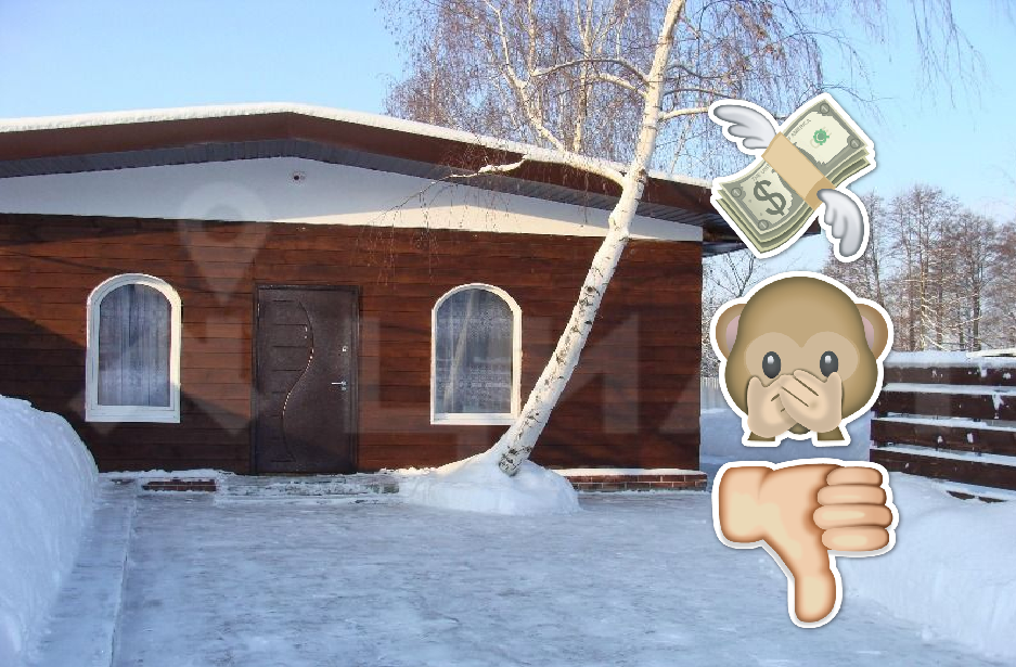 Сколько стоит снять дом на Новый год в Рязанской области: топ-5 неоправданно дорогих предложений