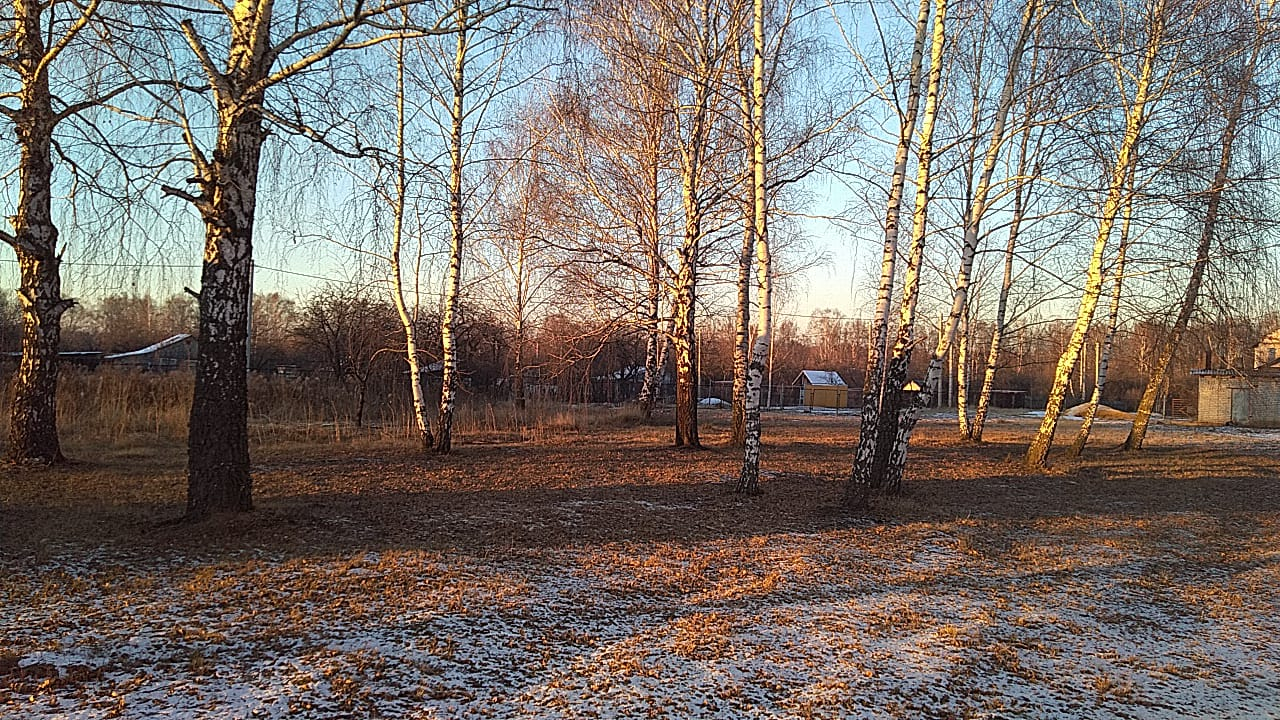 Обширный антициклон: рязанские синоптики объяснили отсутствие снега в начале зимы