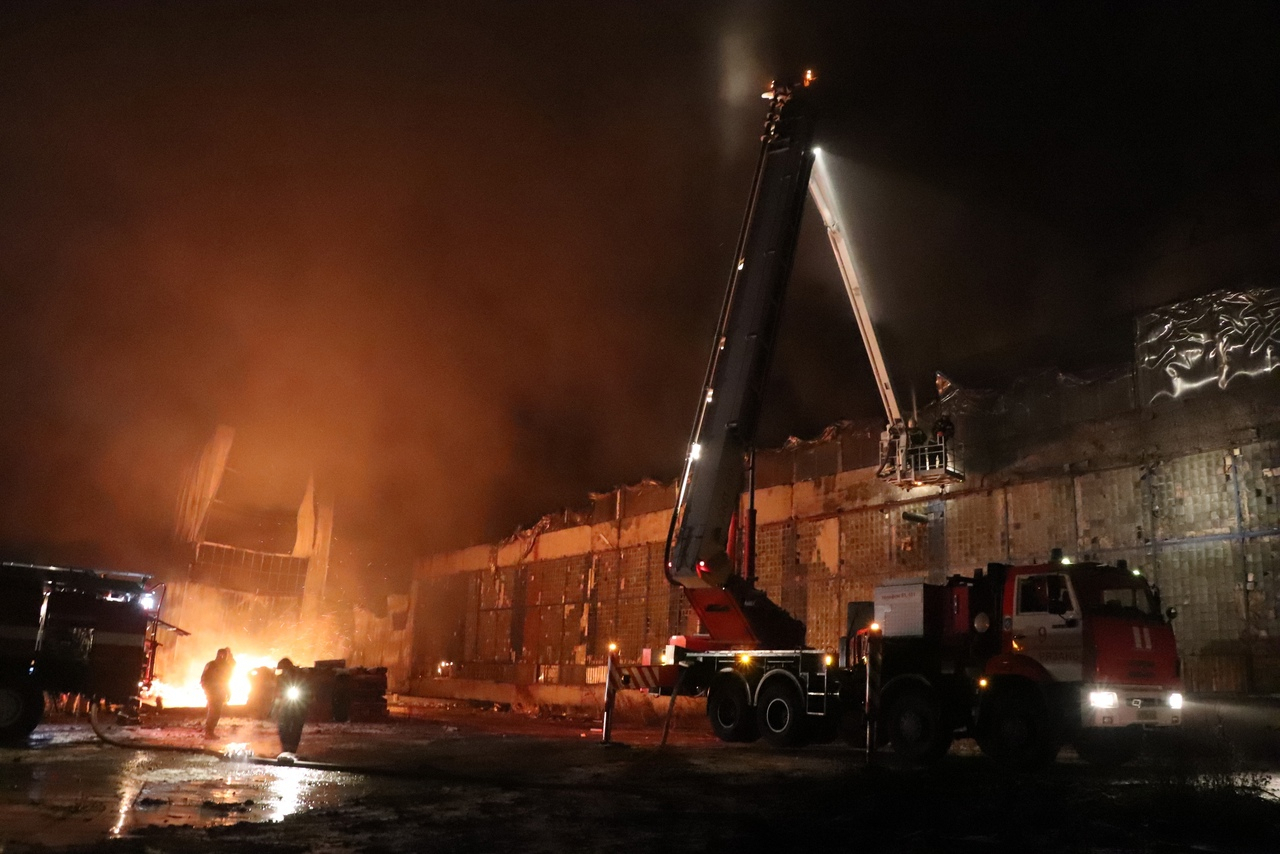 Все в огне: МЧС опубликовало фото с места крупного пожара в Песочне