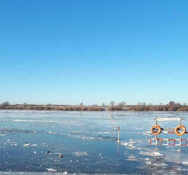Пройтись по воде: в Шиловском районе открыли пешеходную ледовую переправу через Оку