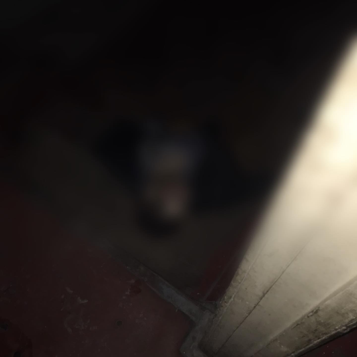 Лежал в подъезде: в доме на Лесопарковой нашли труп