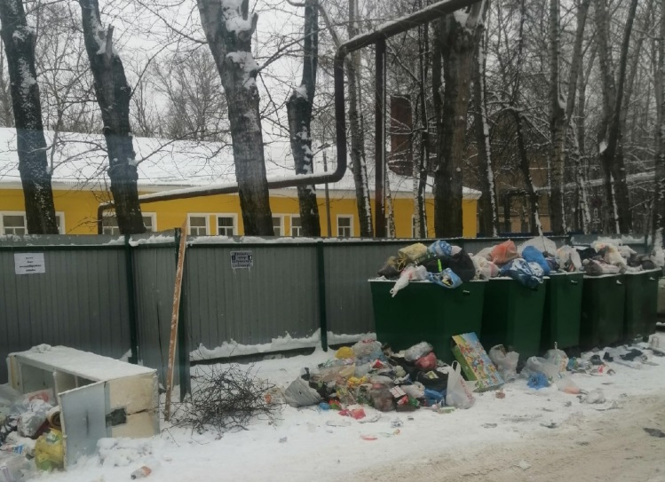 Свинство в Дягилеве: на улице Белякова в Рязани развелись крысы