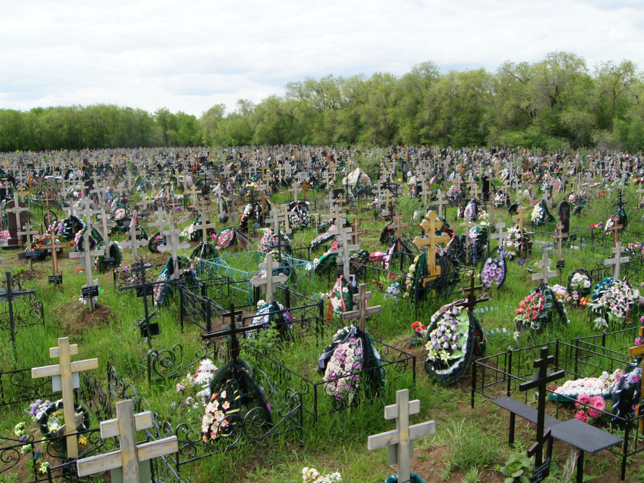 Негде хоронить: в Рязани хотят расширить второе Богородское кладбище