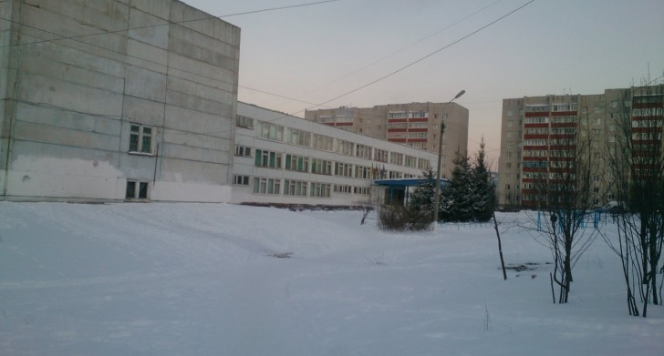 С учителями в комплекте: в Нижегородской области ученики выставили на продажу школу