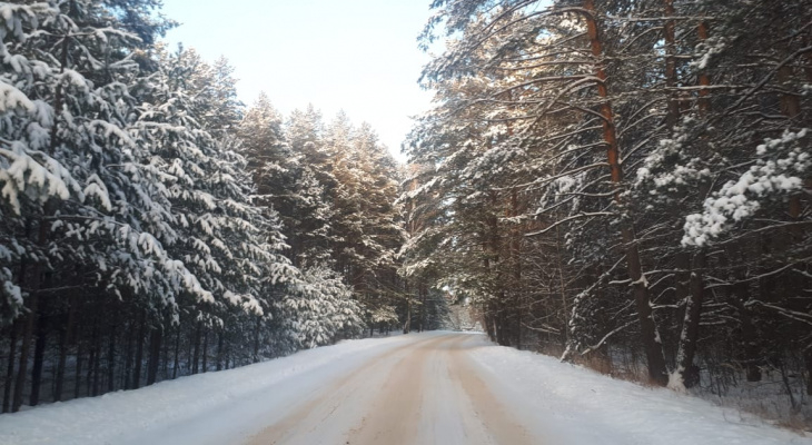 Код "оранжевый": синоптики ожидают в Рязанской области до 29 градусов мороза