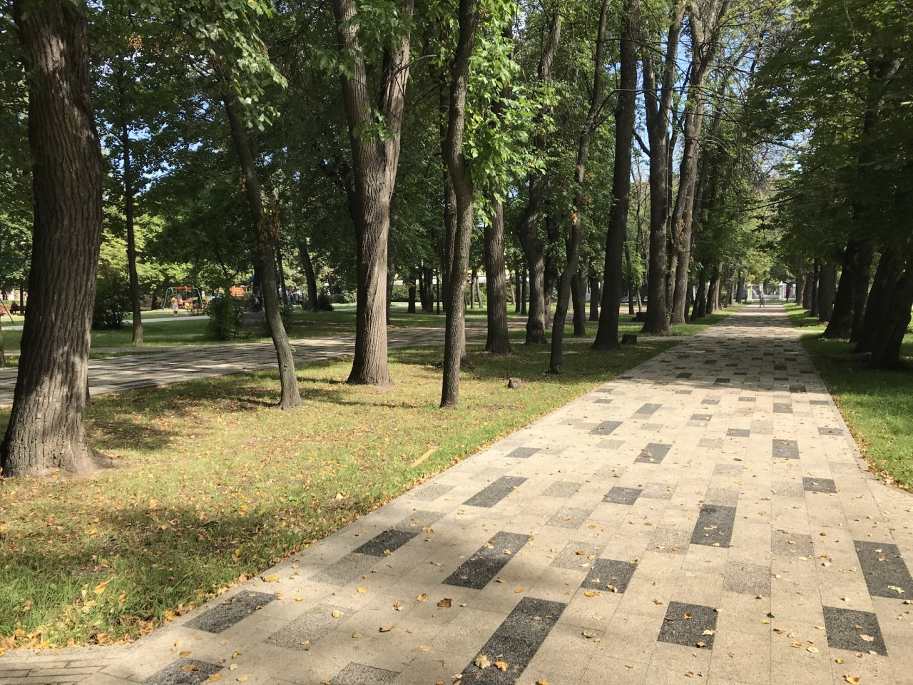 Деревья и плитка: на что в Наташкином парке потратят 21 миллион рублей