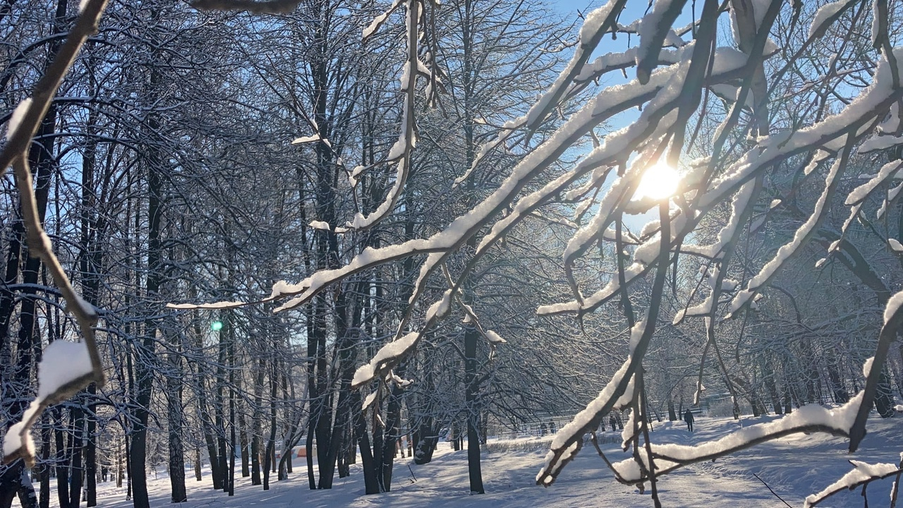 Погода в Рязани на 8 марта: продолжение зимы