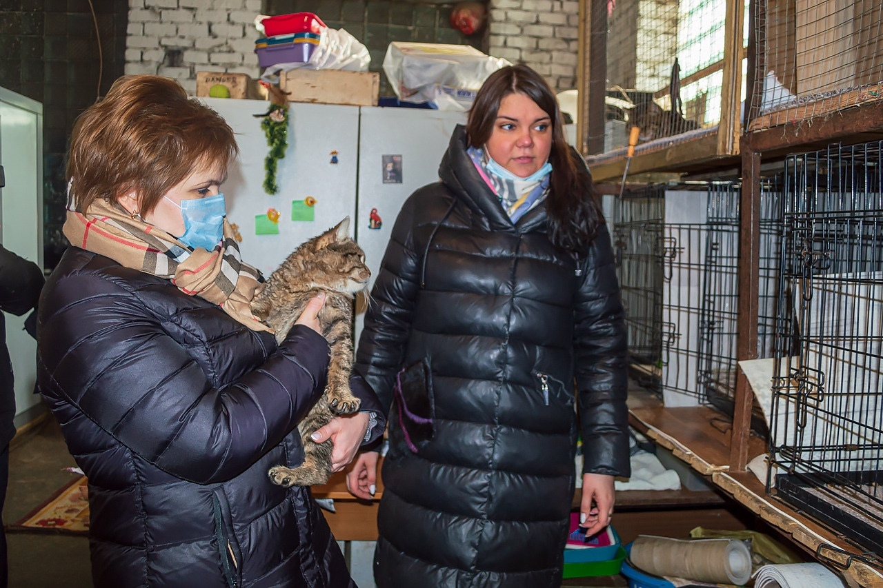 Милосердие: встреча мэра Рязани с приютом безнадзорных животных