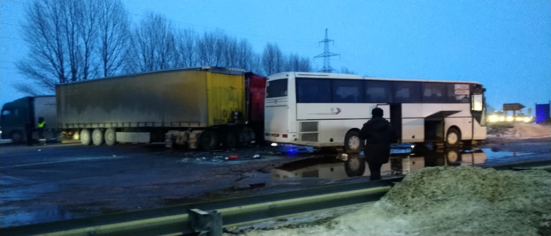Есть пострадавшие: в Михайловском районе столкнулись рейсовый автобус и фура