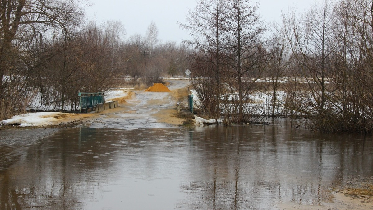 Ищите объезд: в Александро-Невском районе затопило мост
